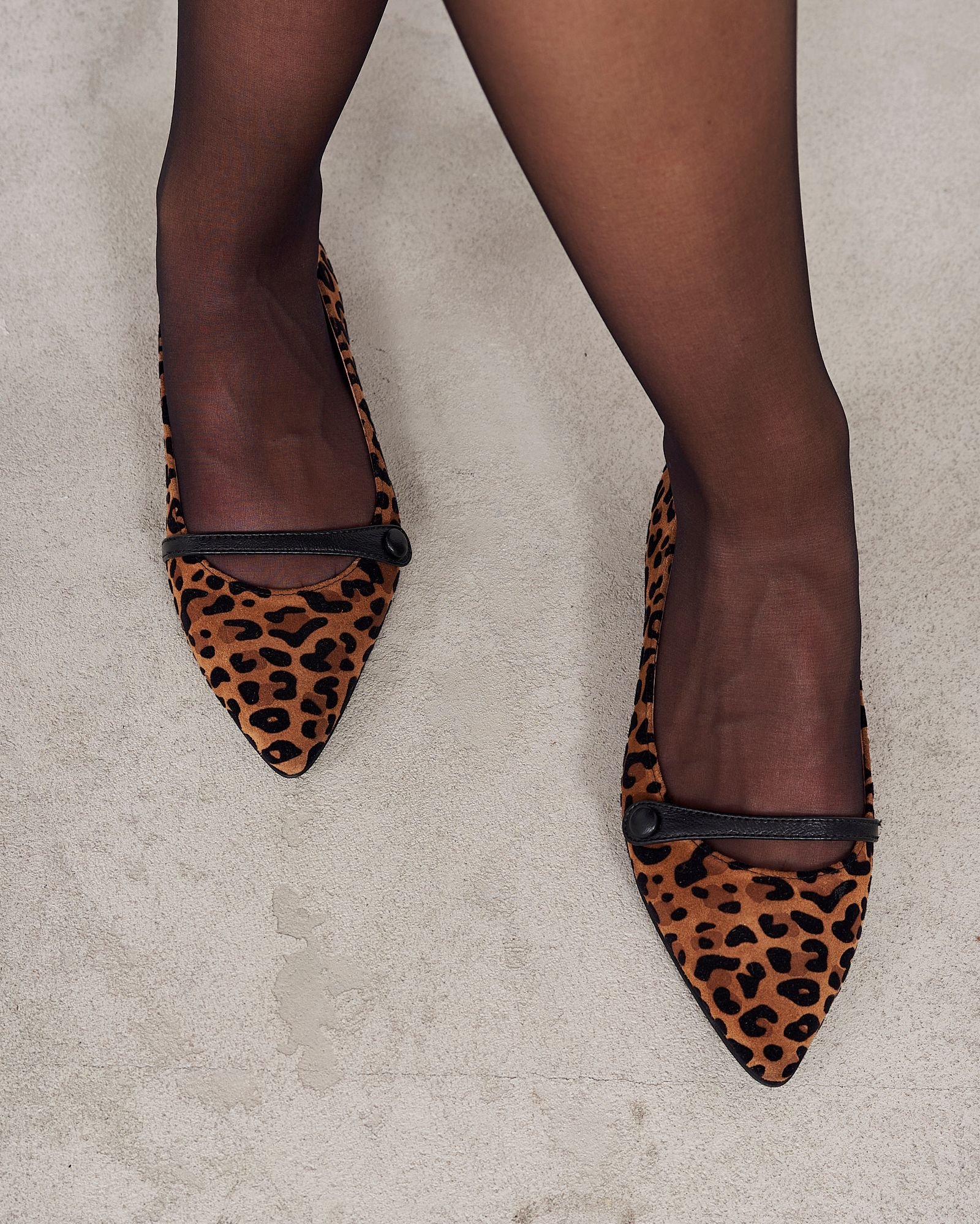 Леопардовые замшевые балетки - Image 2 of 7